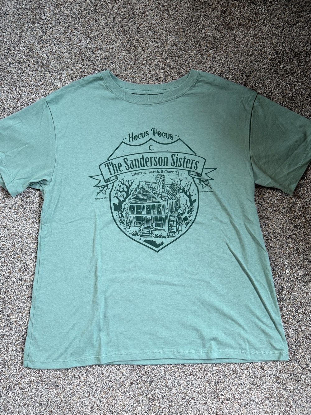 Disney The Sanderson Sisters Graphic Tee - Sage Green - L